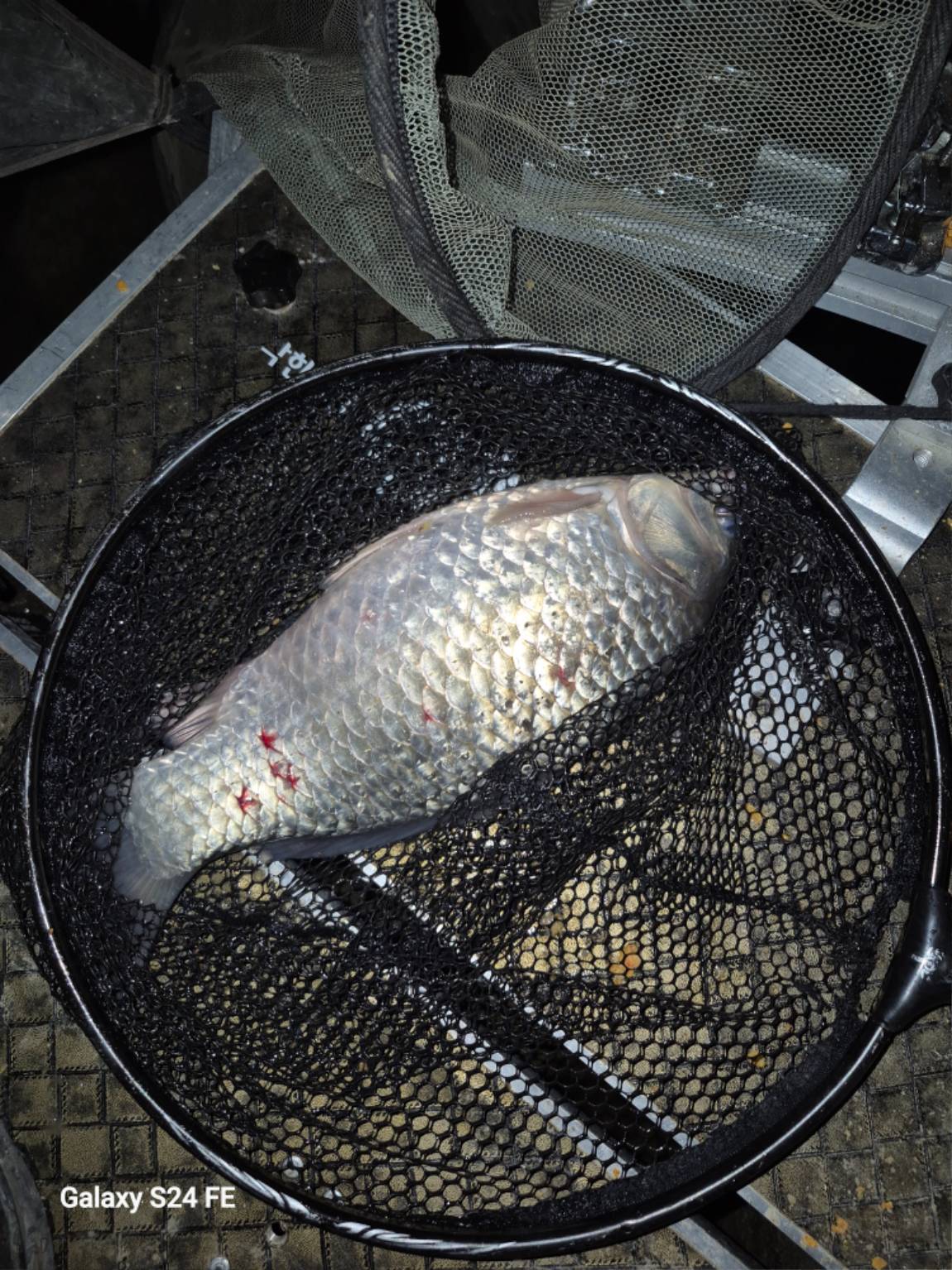 1764206416643 (1).jpg