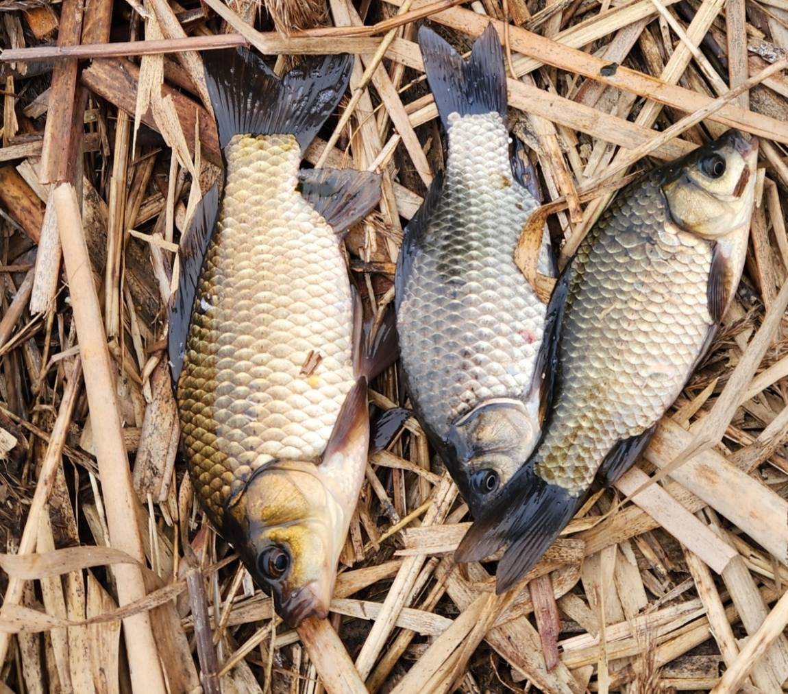 Resized_20251220_151221_1766211157038(1) (1).jpeg