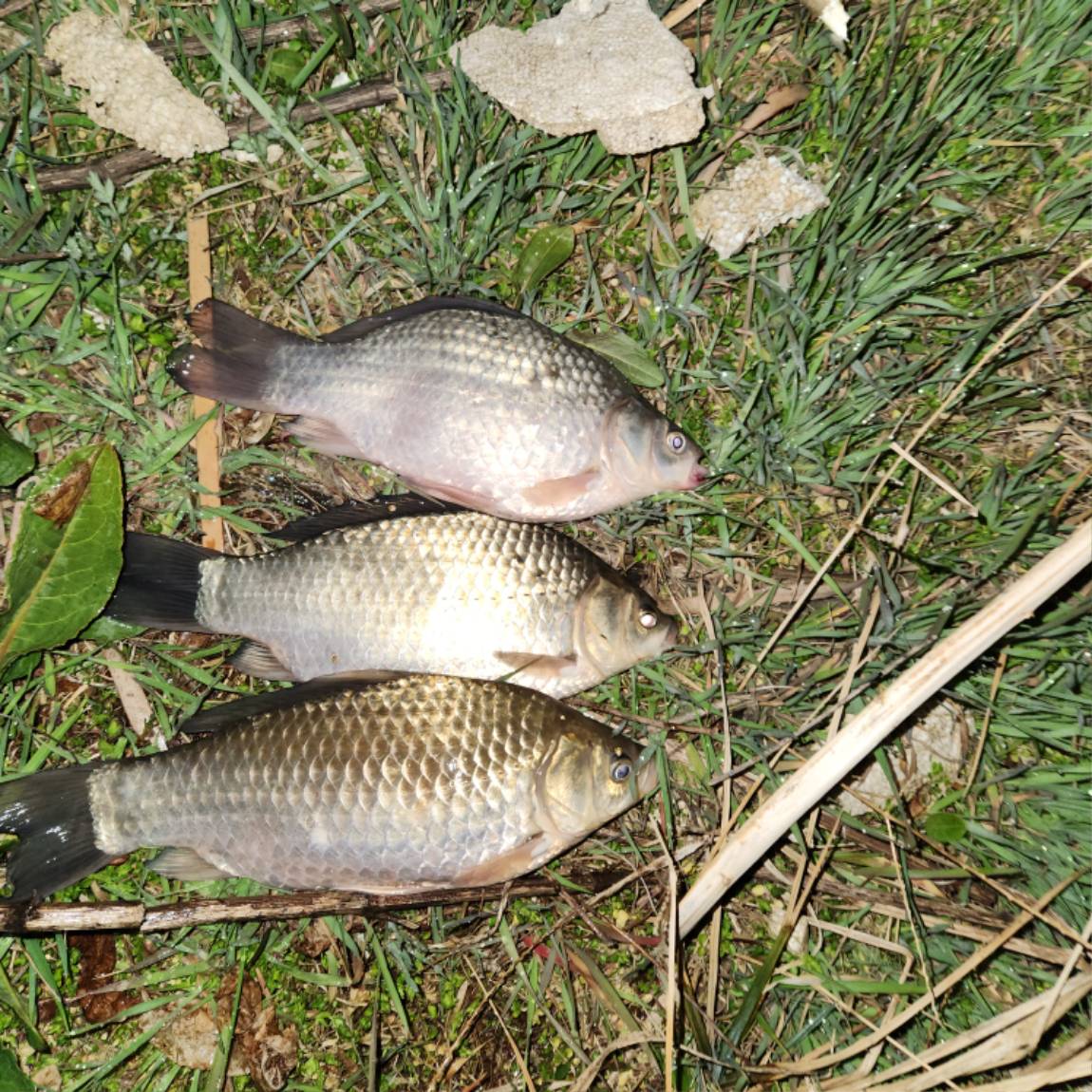 20260330_024447.jpg