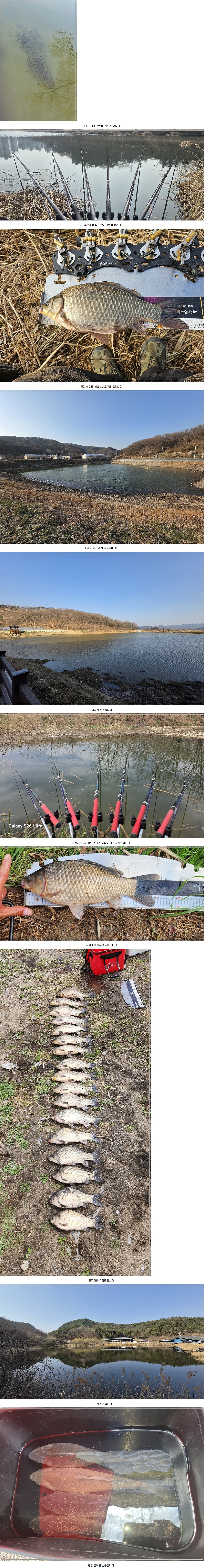 경북 구미지역 2026년 4월 2주차 조황정보