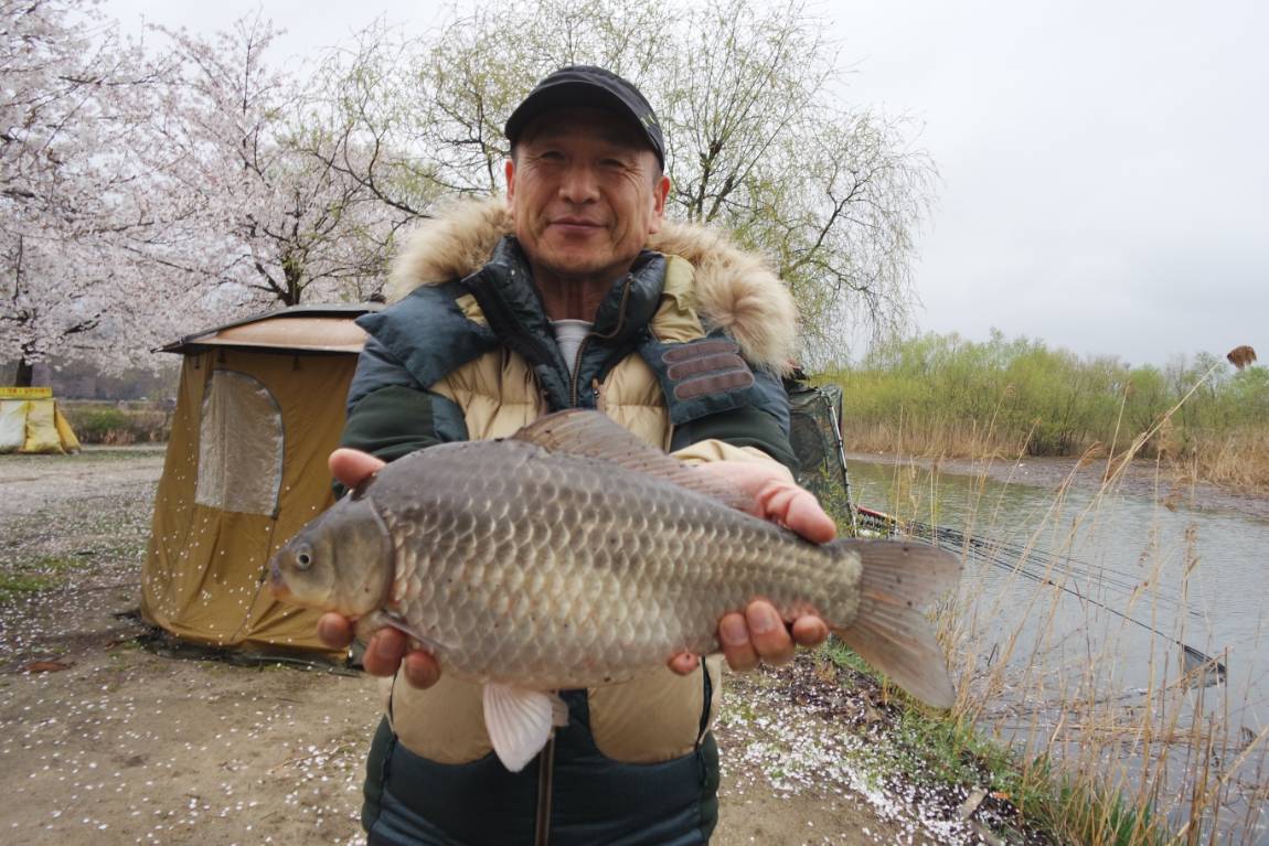 이박사낚시 조황정보..