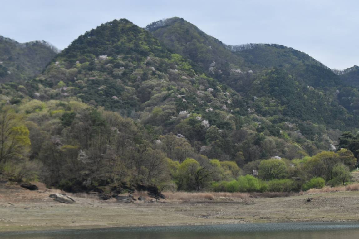 DSC_0014.JPG