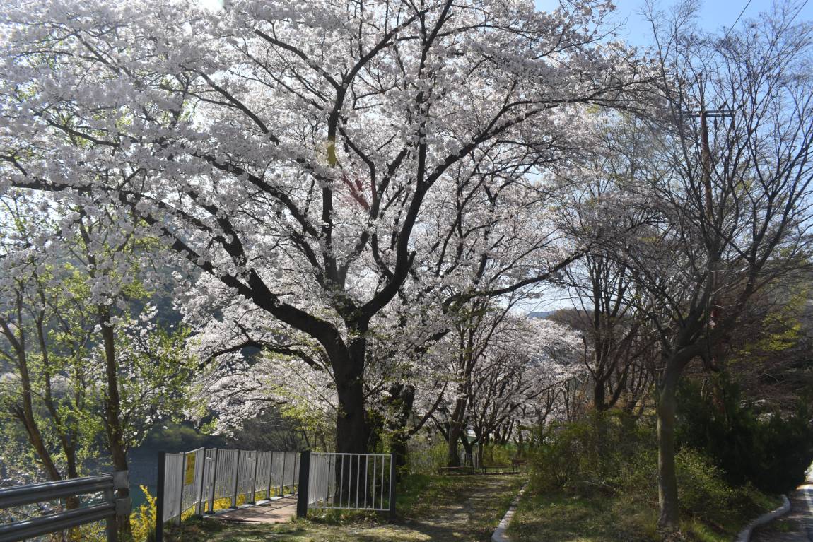 DSC_0031.JPG