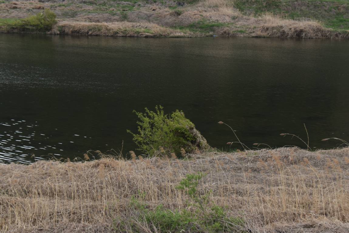 DSC_0002.JPG
