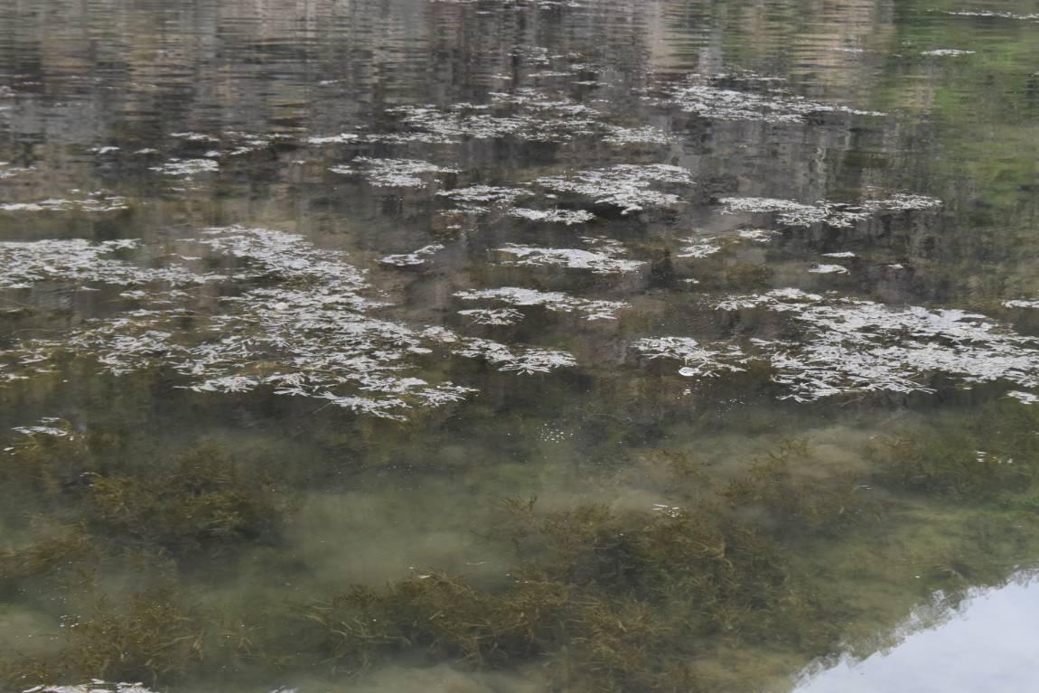 DSC_0003.JPG