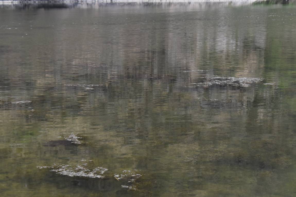 DSC_0007.JPG