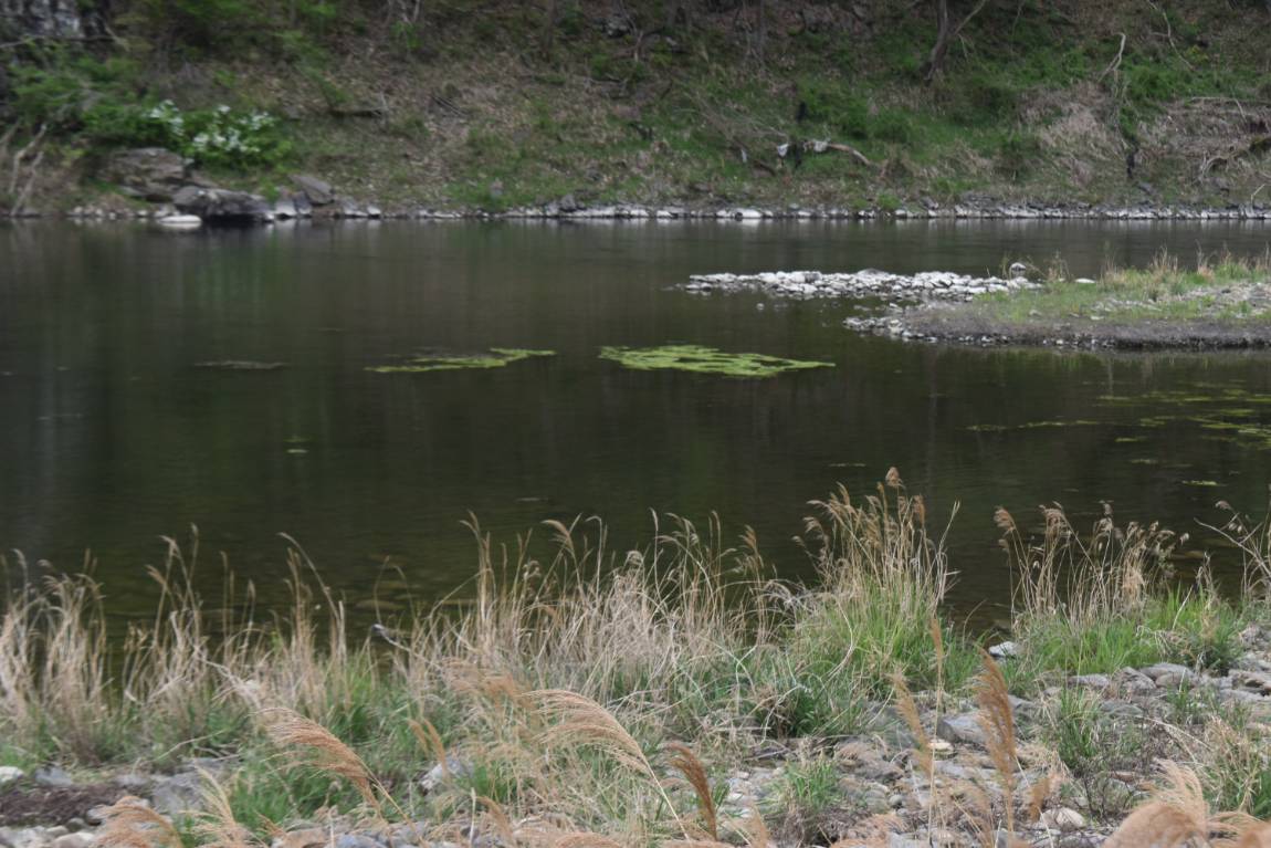 DSC_0008.JPG