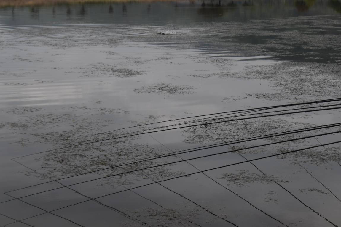 DSC_0014.JPG