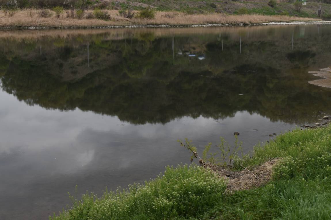 DSC_0022.JPG