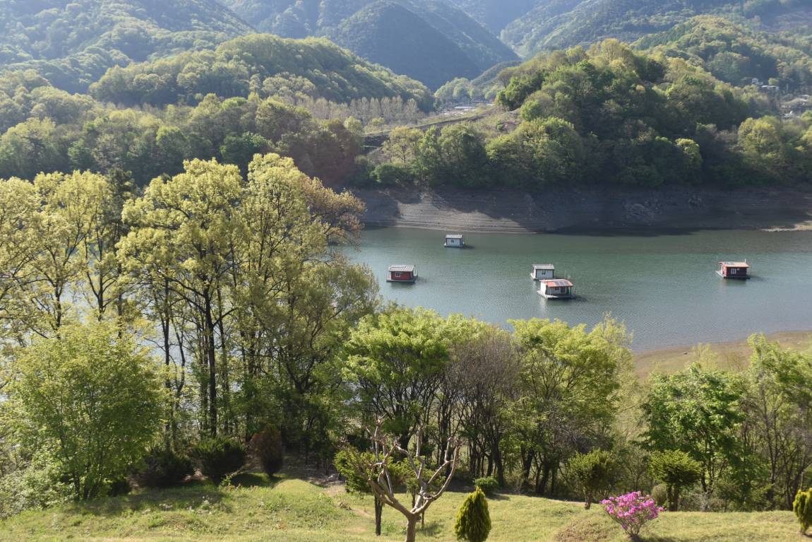 DSC_0008.JPG