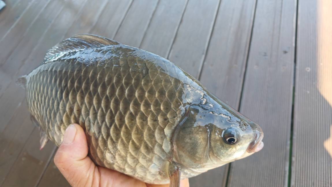 1777174828999.jpg