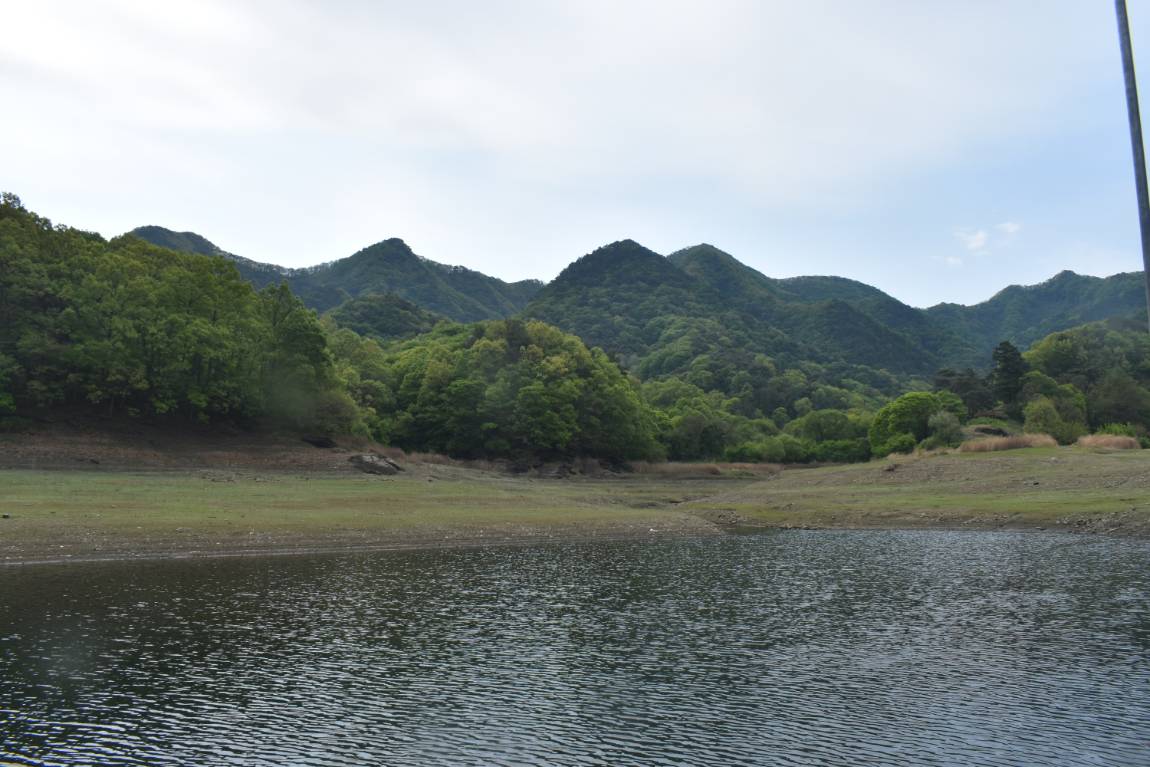 DSC_0006.JPG