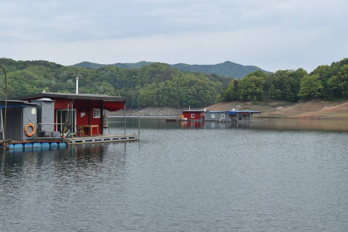 DSC_0007.JPG