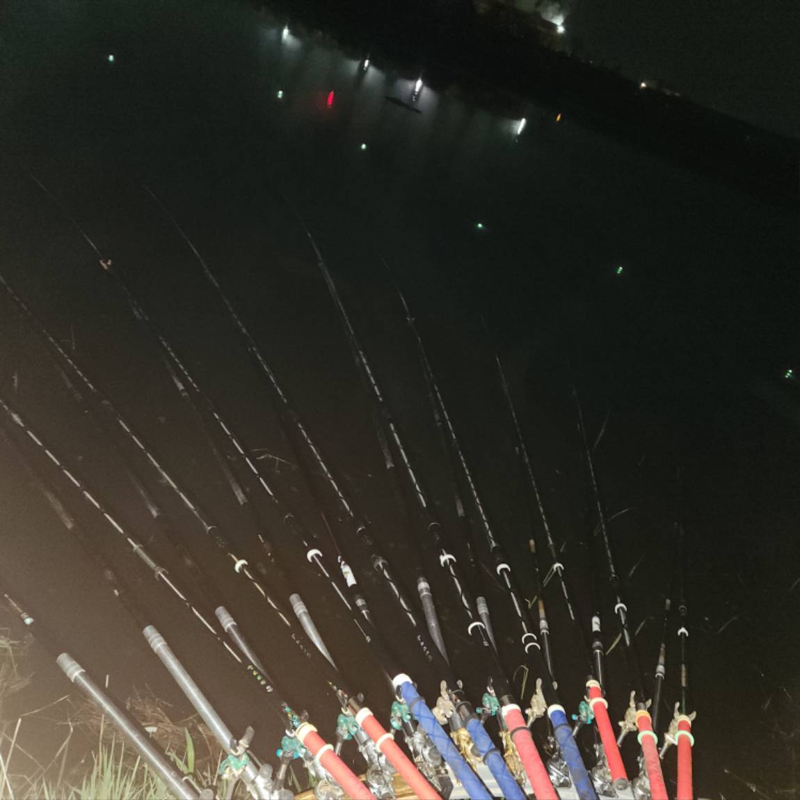 20260425_001640.jpg