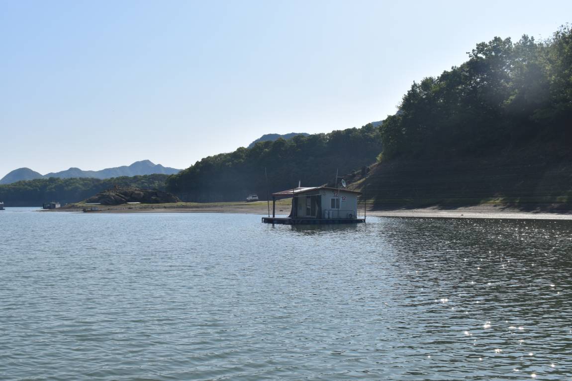 DSC_0002.JPG