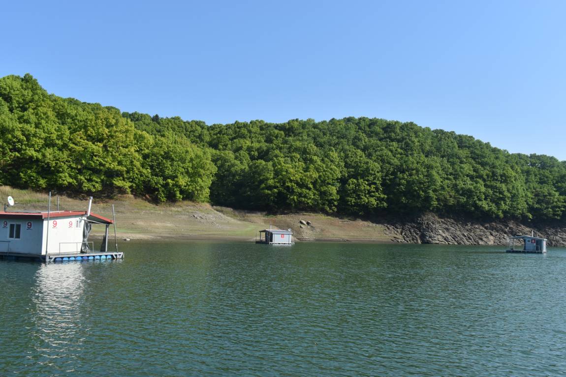 DSC_0011.JPG