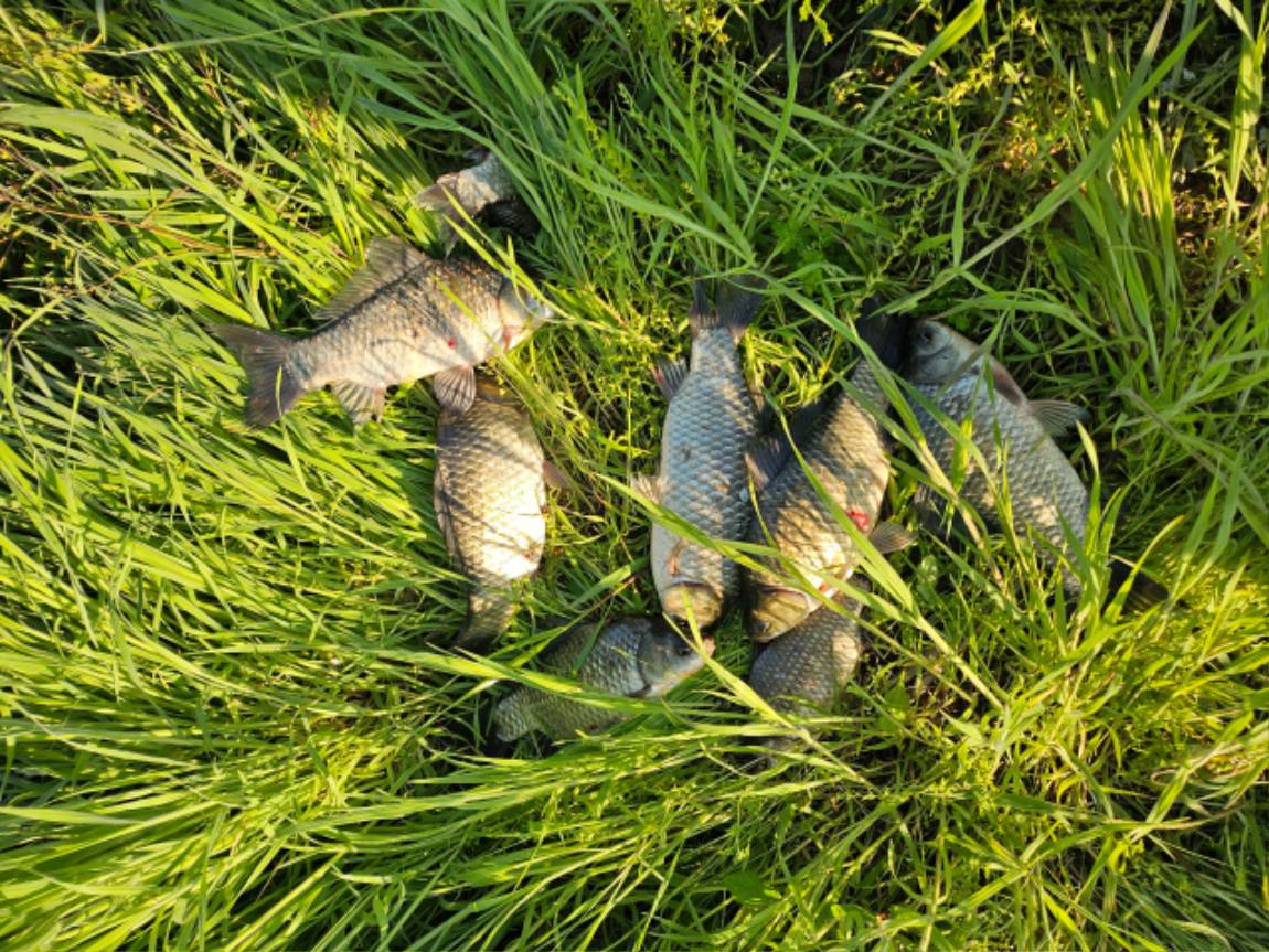 Resized_20260509_064400.jpeg