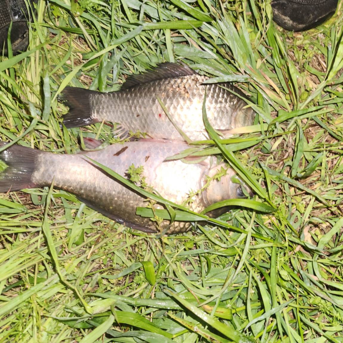 20260509_015953.jpg