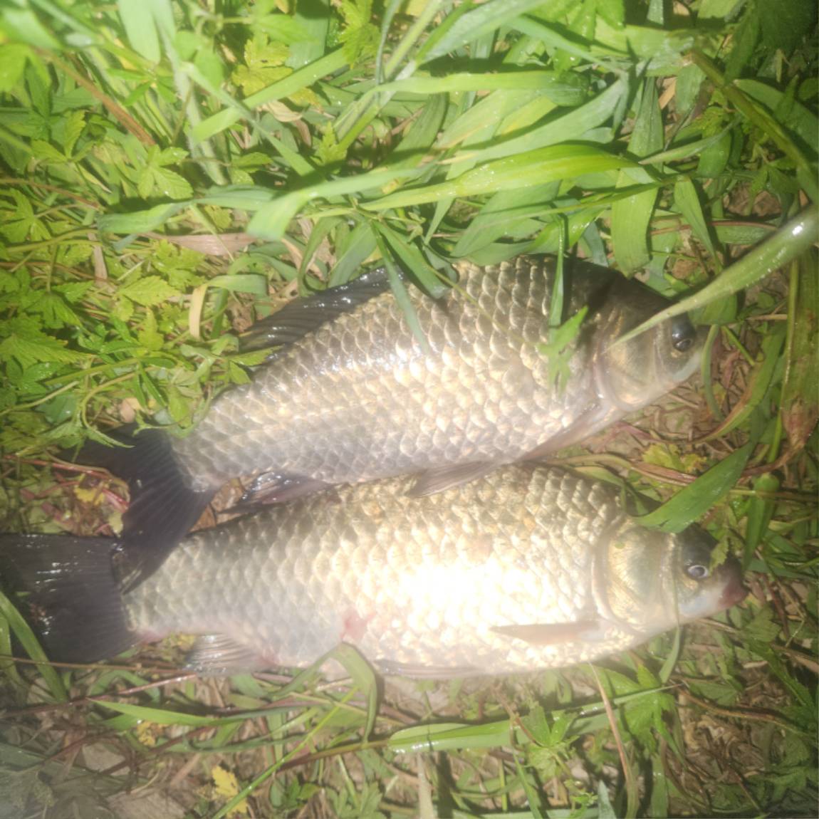 20260511_012943.jpg