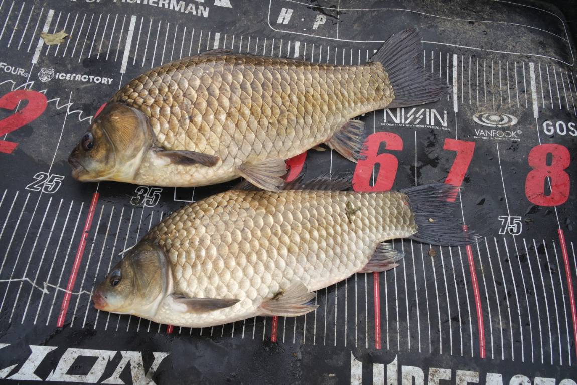 SAM_8474.JPG
