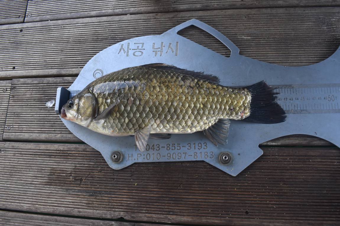 DSC_0005.JPG