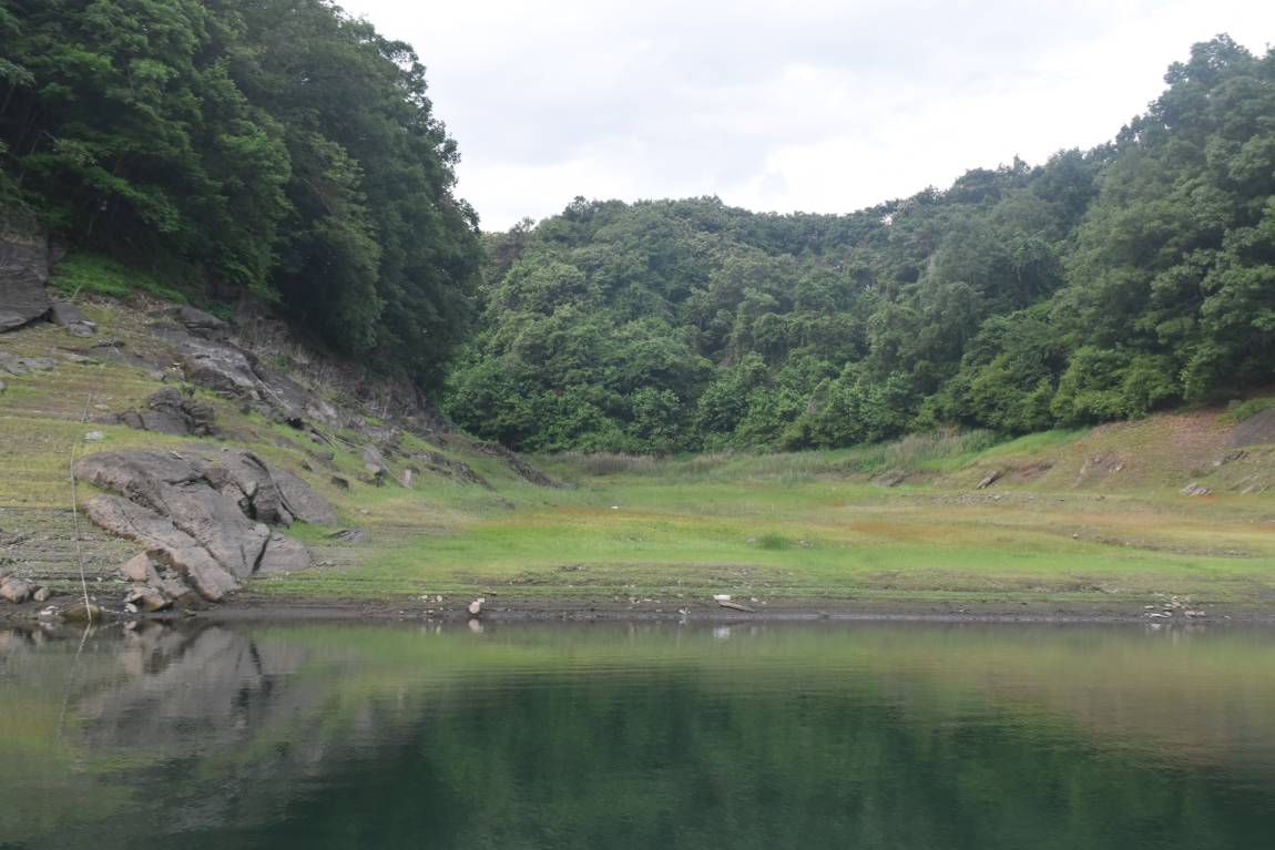 DSC_0010.JPG