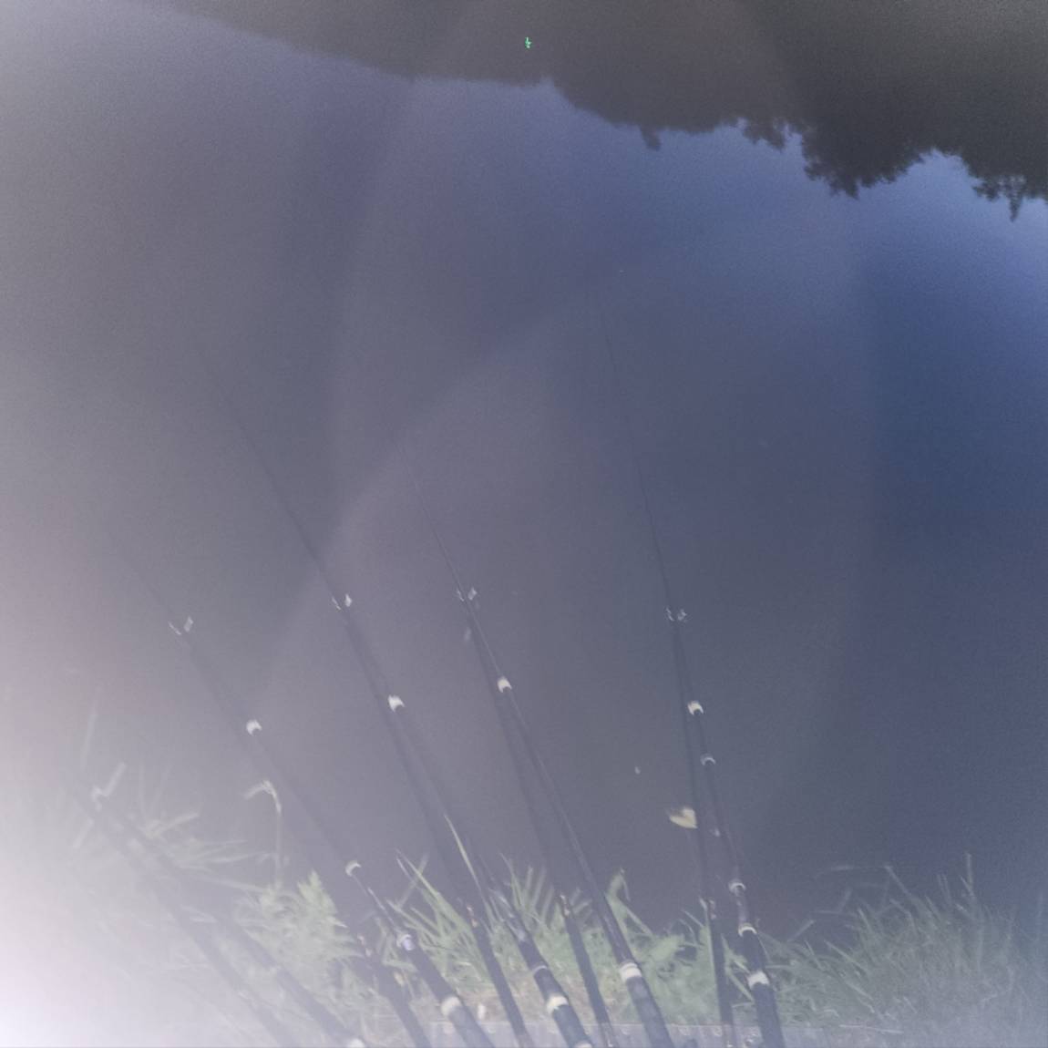 20260531_201854.jpg
