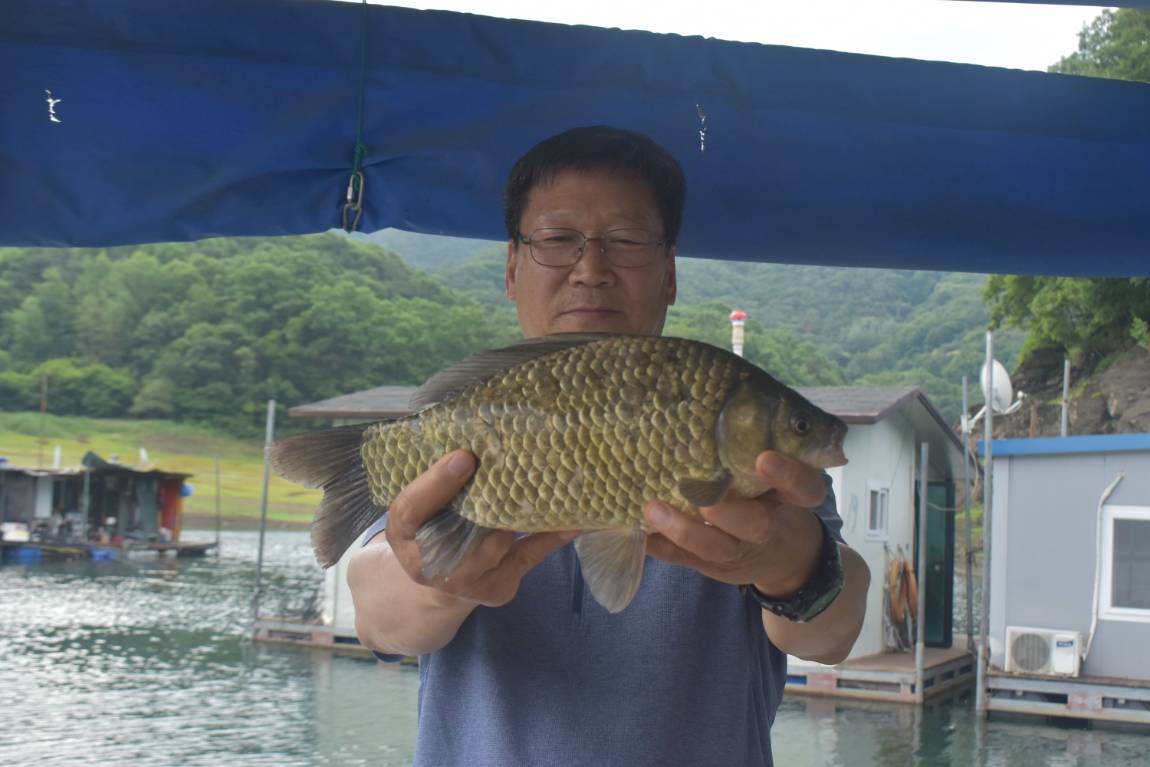 DSC_0009.JPG