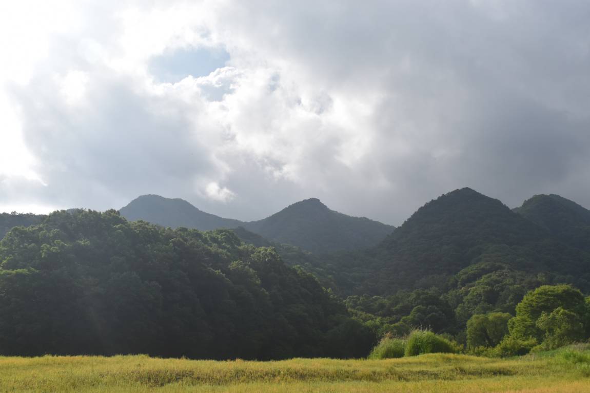 DSC_0016.JPG