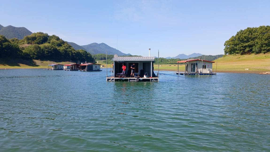1780789416972.jpg