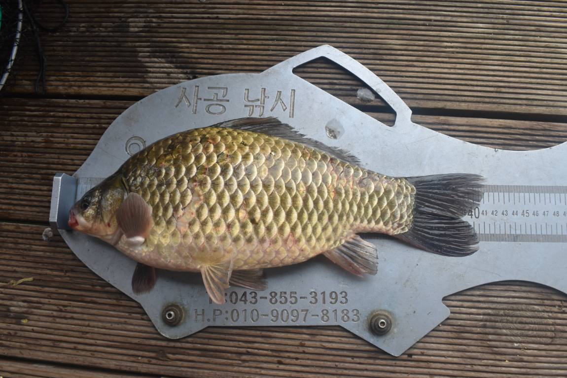 DSC_0024.JPG