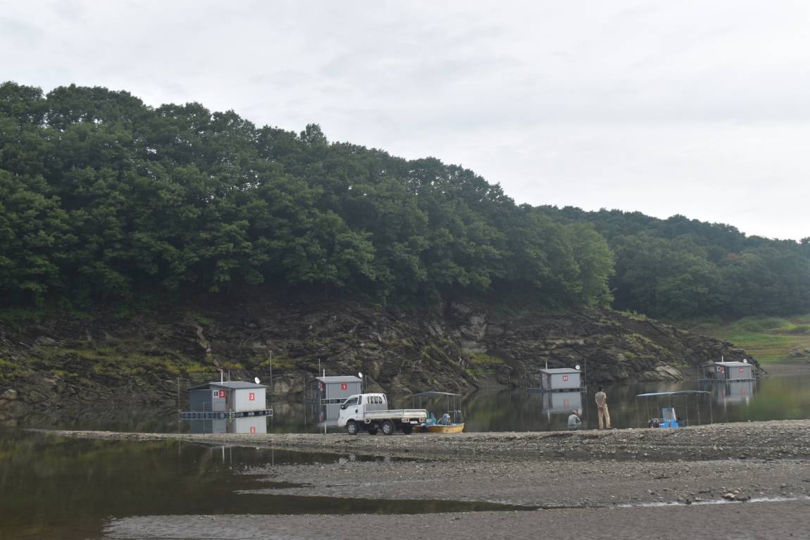 DSC_0039.JPG