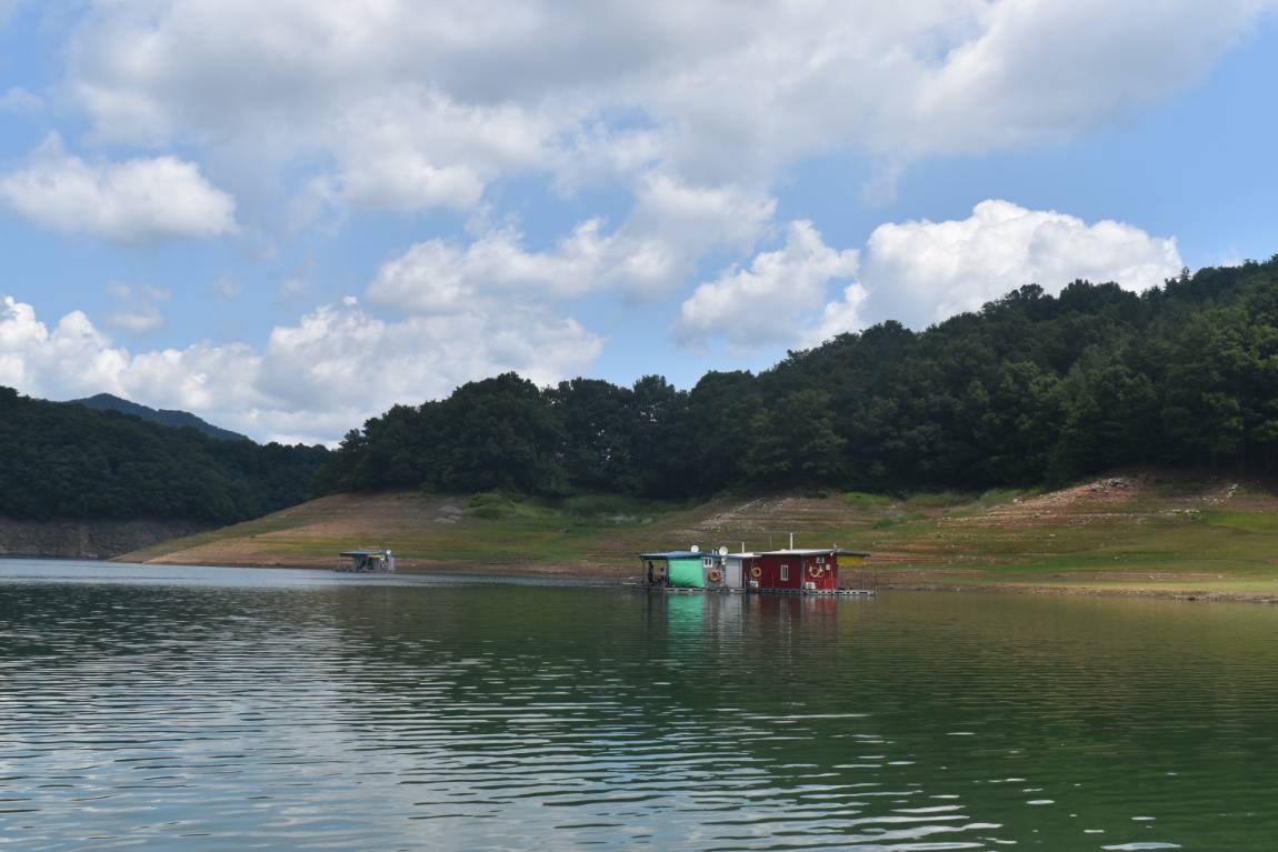 DSC_0001.JPG