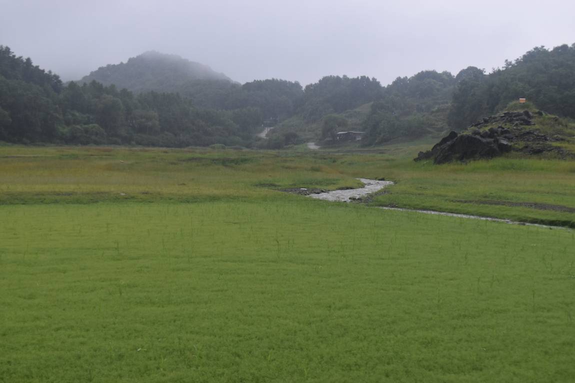 DSC_0007.JPG