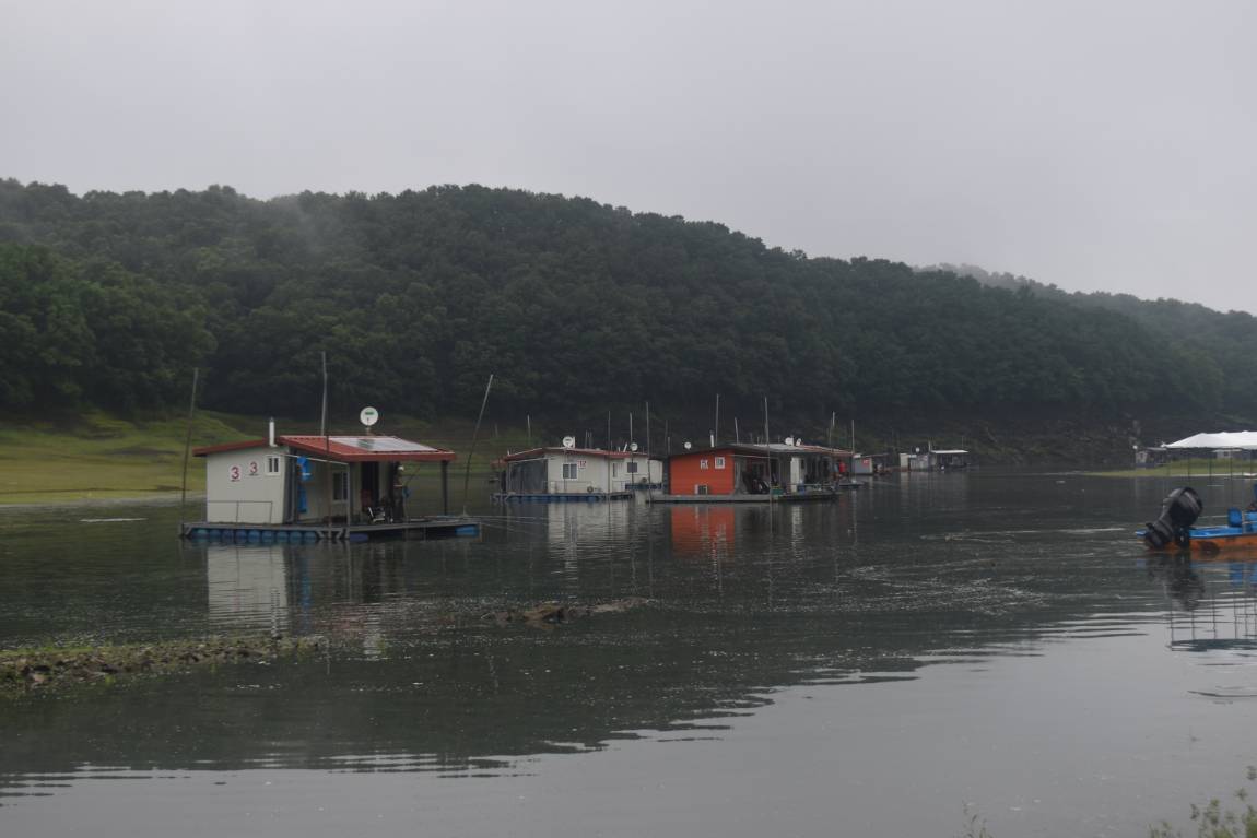 DSC_0002.JPG