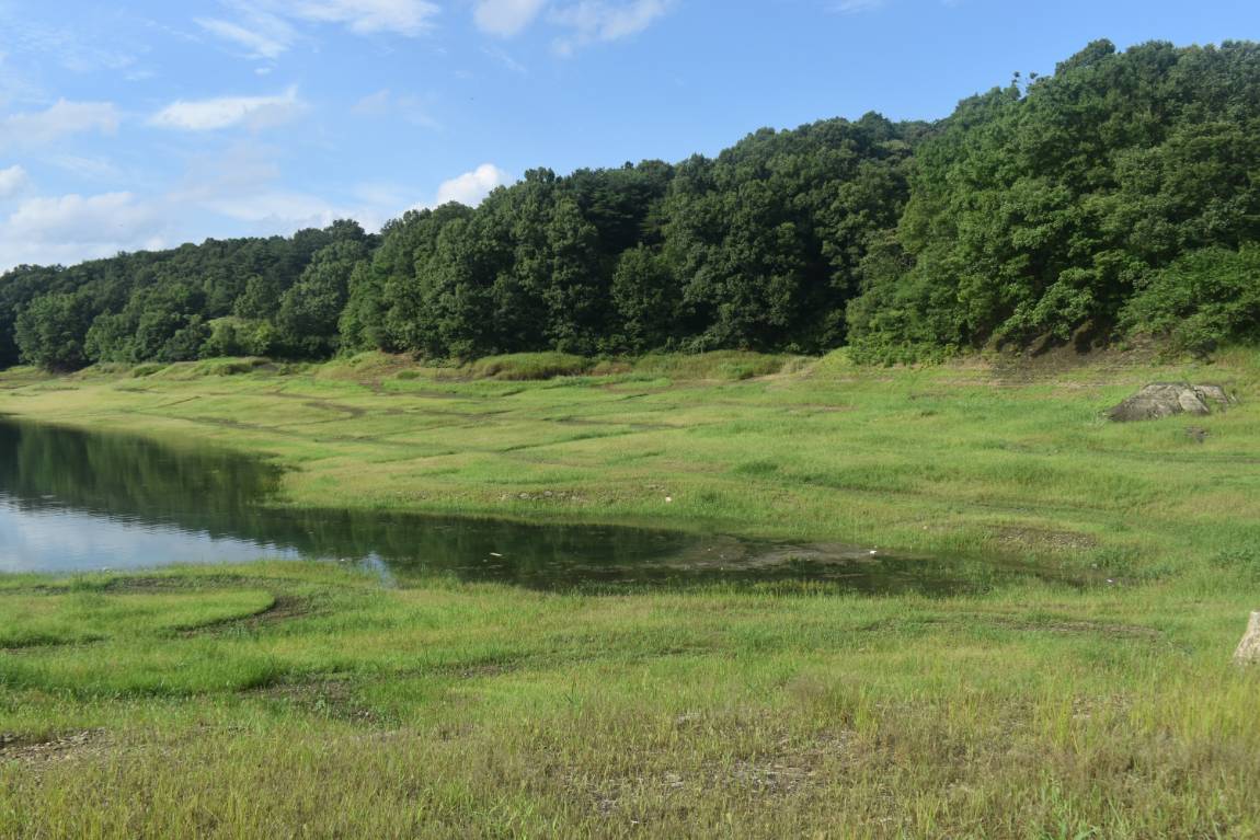 DSC_0036.JPG