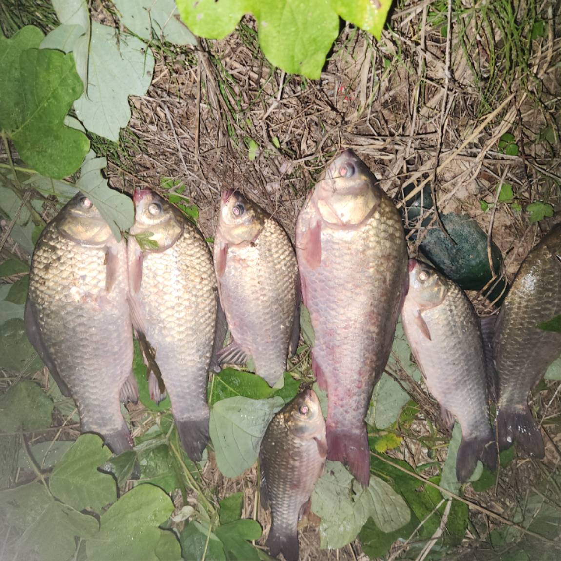 20260720_011746.jpg
