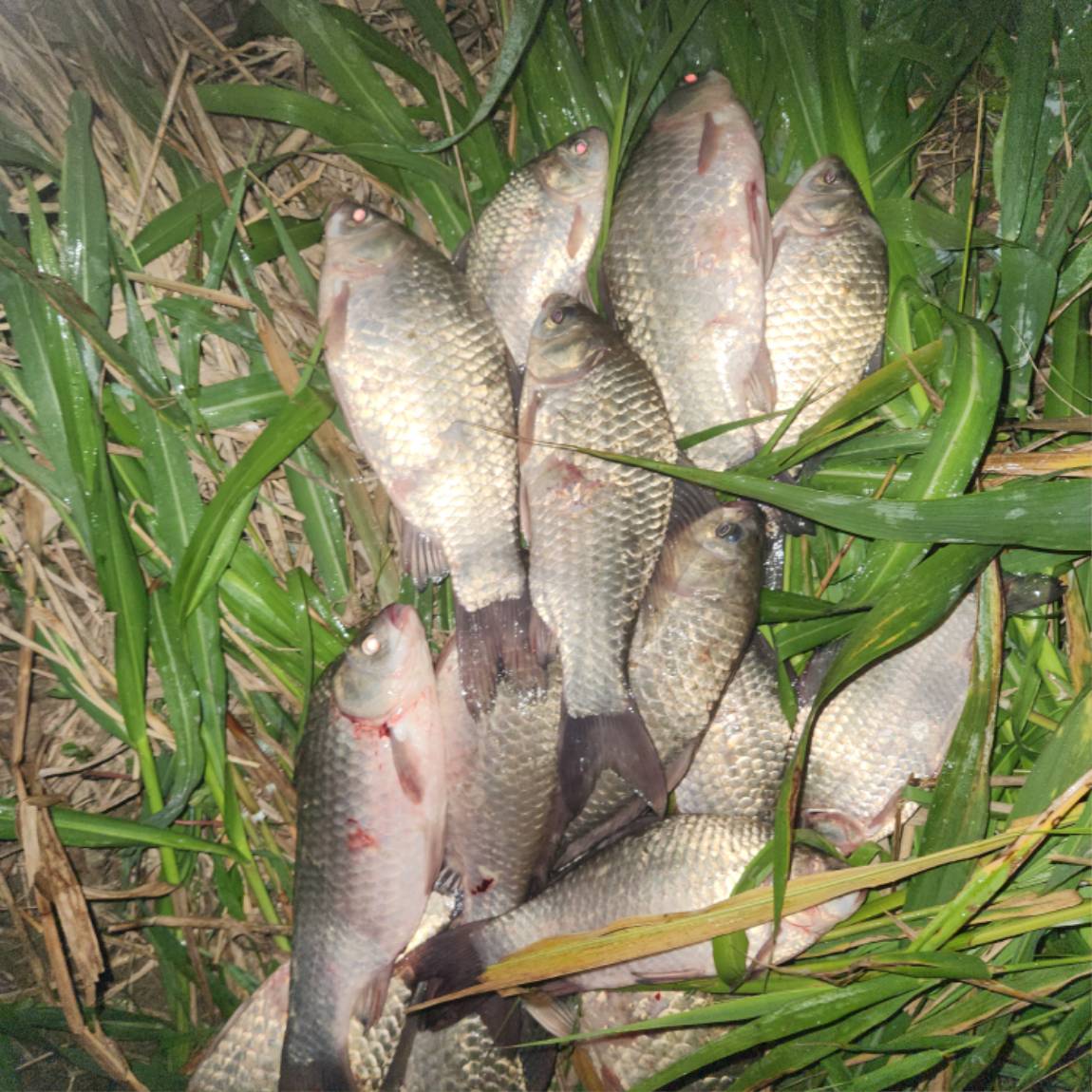 20260727_014354.jpg