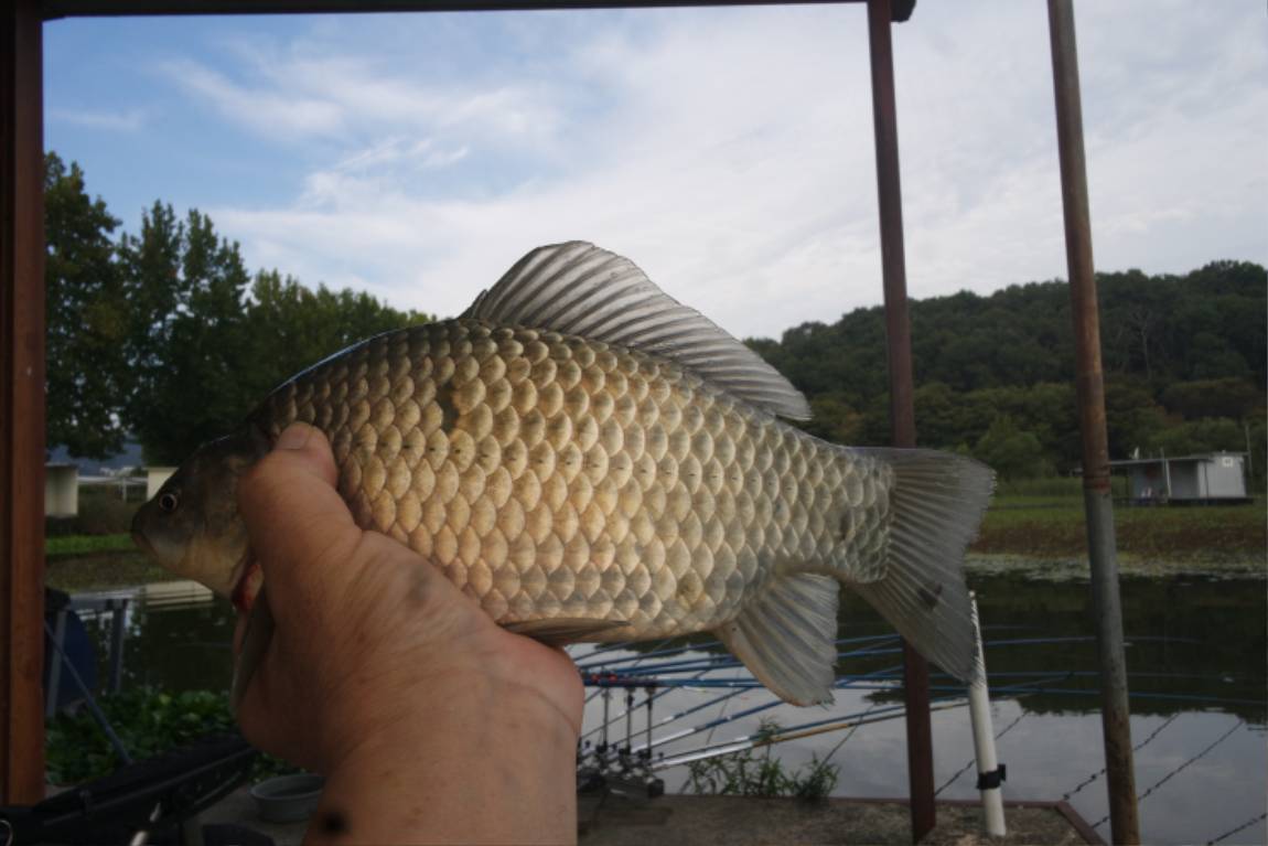 SAM_9036.JPG