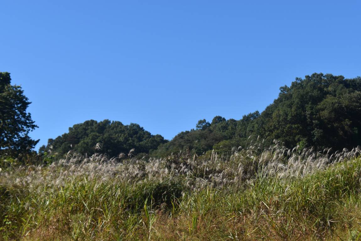DSC_0007.JPG