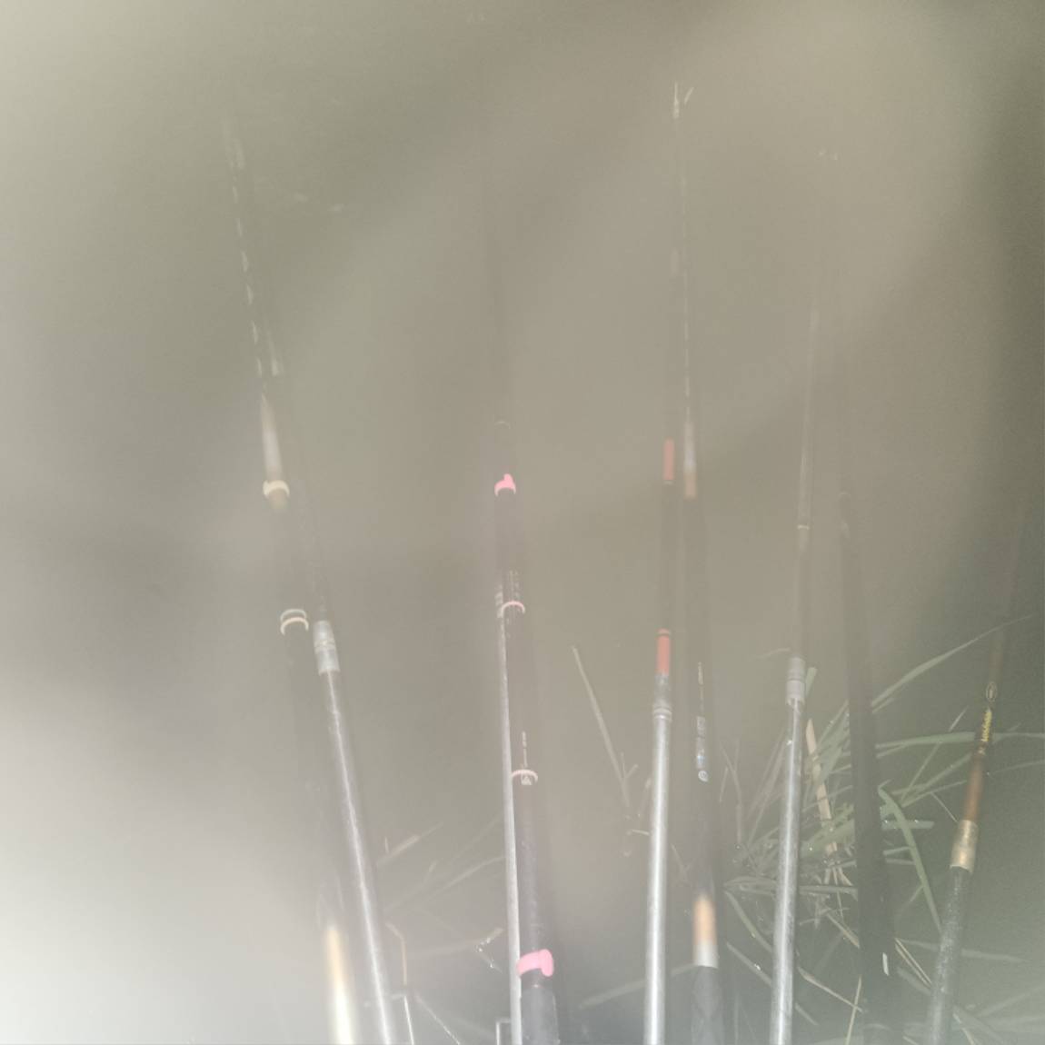 20261002_022046.jpg