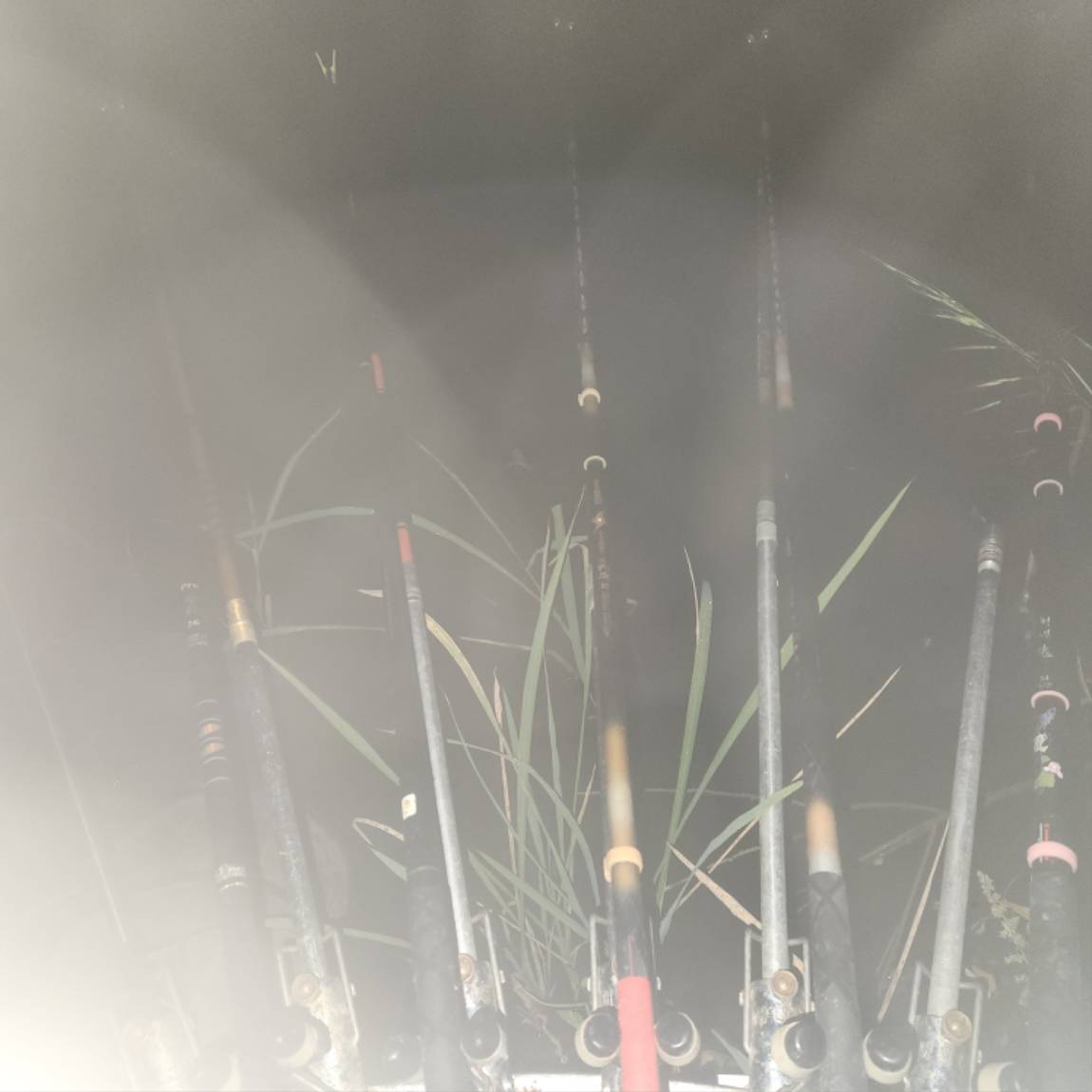 20261004_224708.jpg
