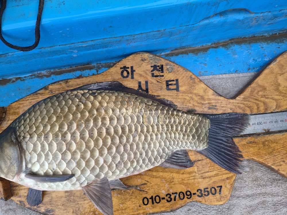 KakaoTalk_20261010_092522291.jpg