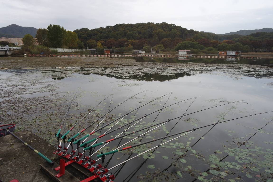 SAM_9168.JPG