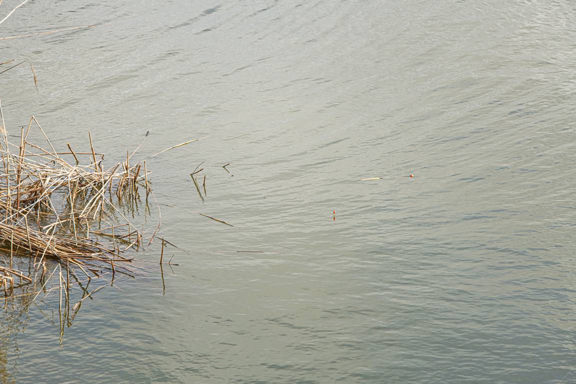 DSC_6585.jpg