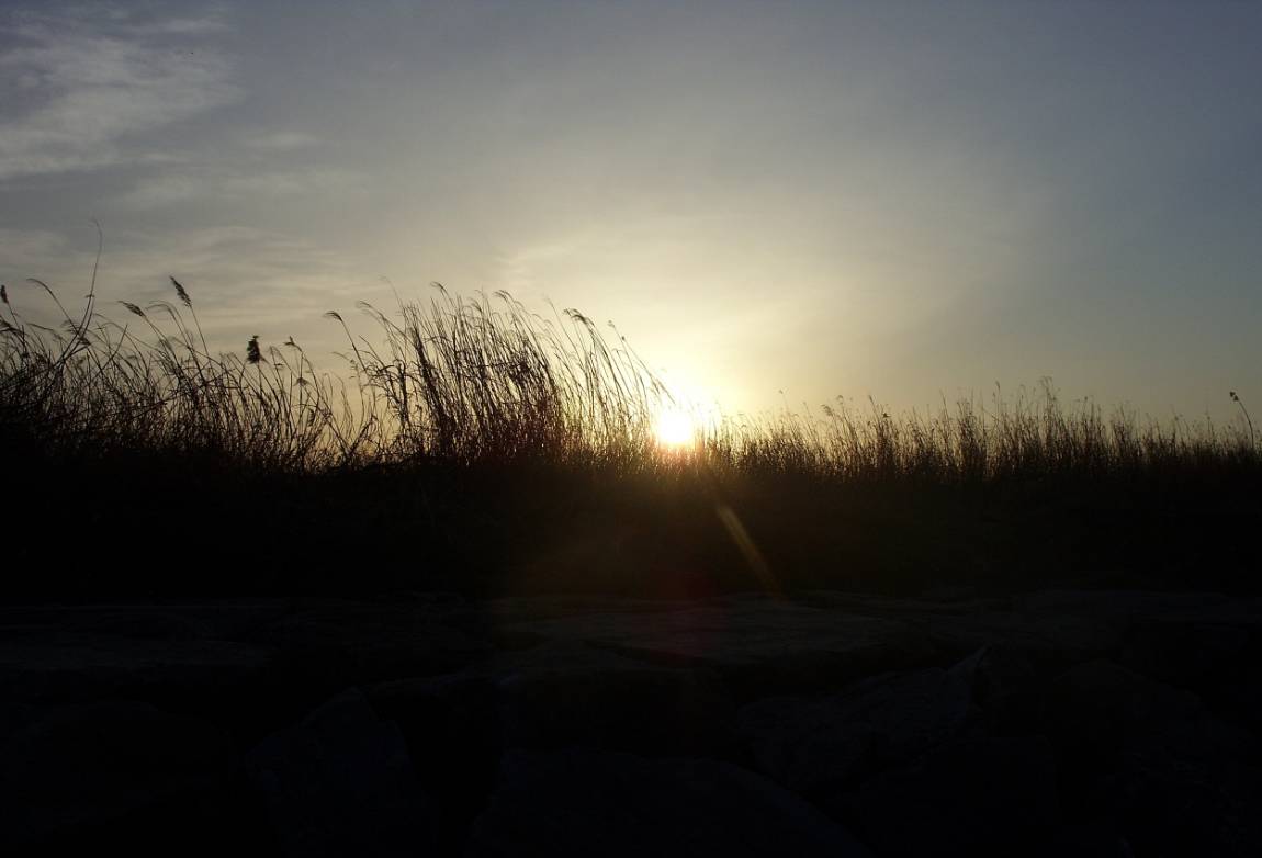 SDC13079.JPG