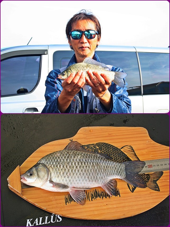 10������ �鼮������1499.jpg