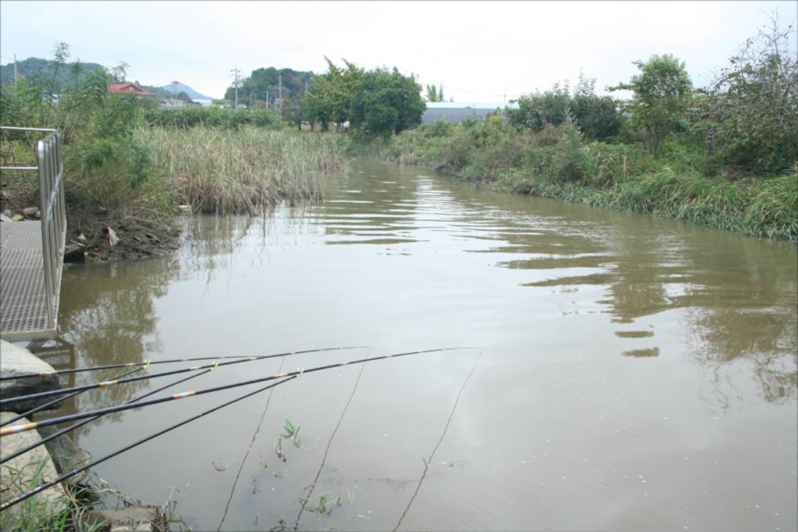 10������ �鼮������0160.JPG