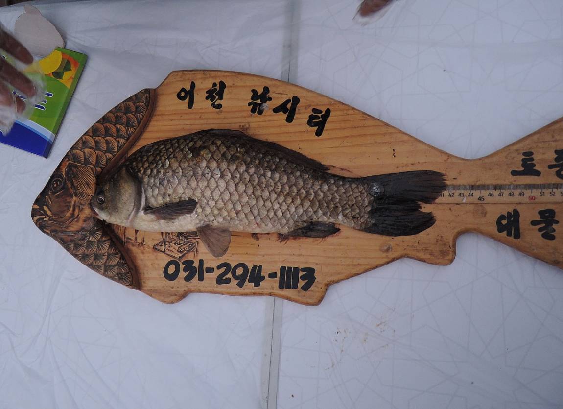 55.jpg