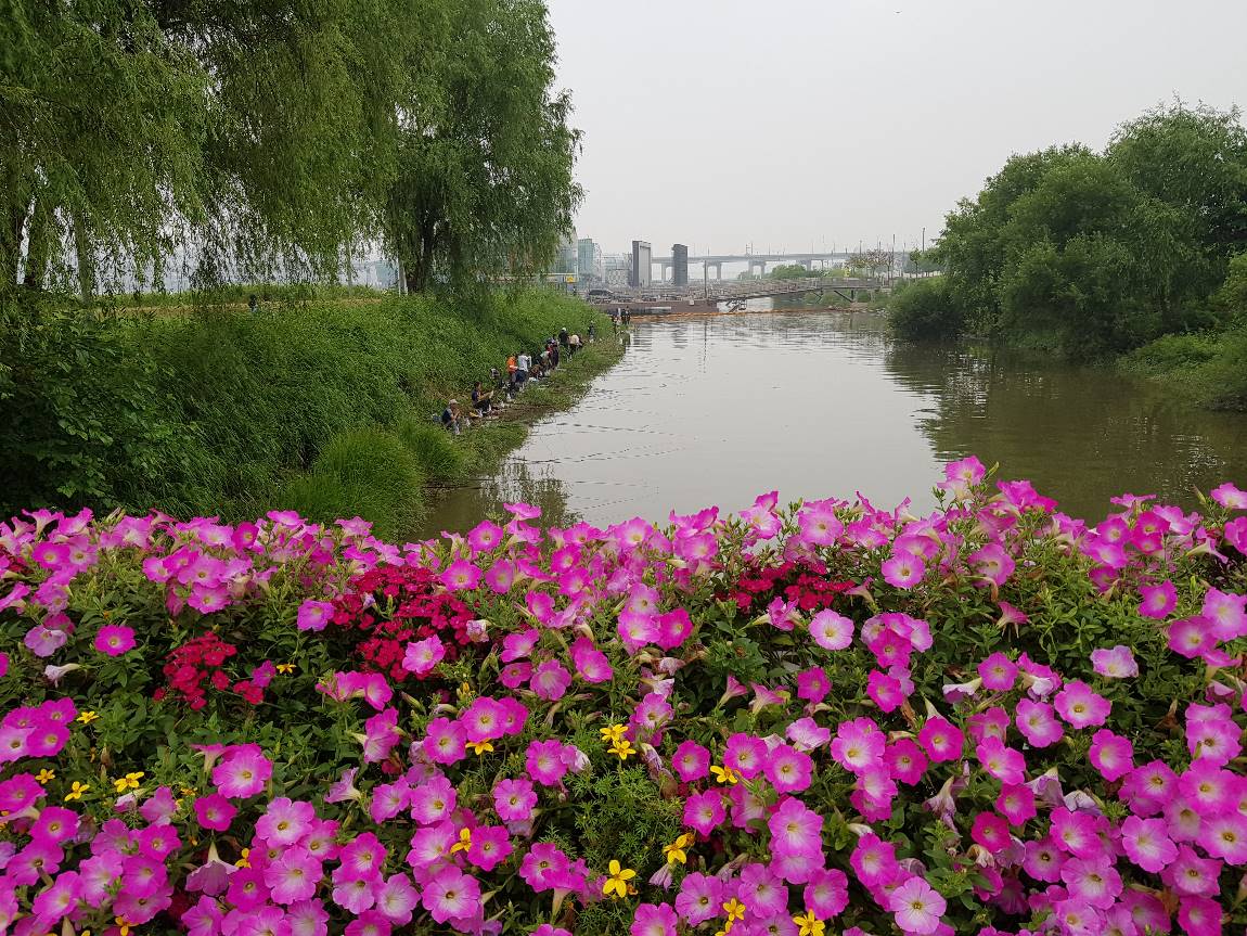 20180630_091417.jpg